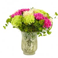 Pastell nejlikor - Buketter - Skicka blommor med blombud - Skicka blommor %city%